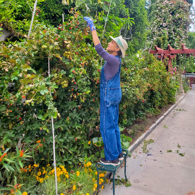 woman standing on green stool in denim overalls and straw hat tending to her garden
