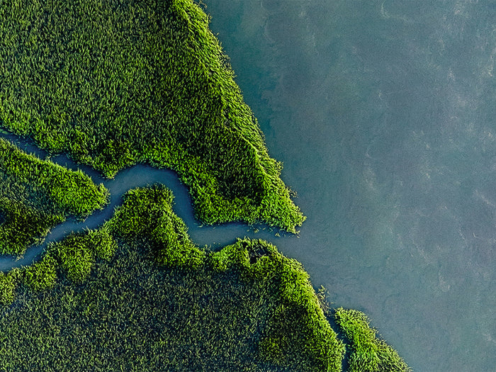 arial view of marshland