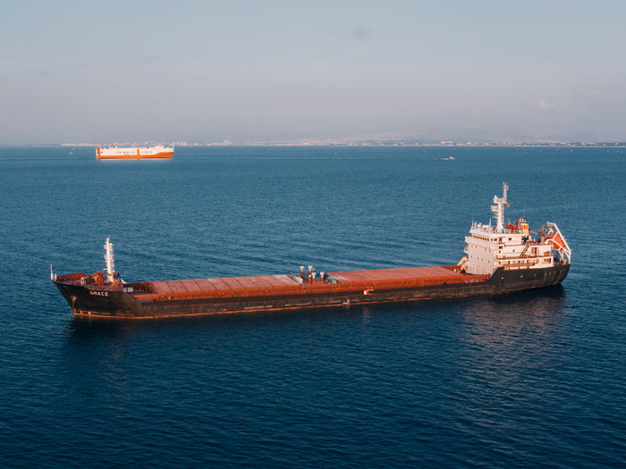 large container ship in the sea
