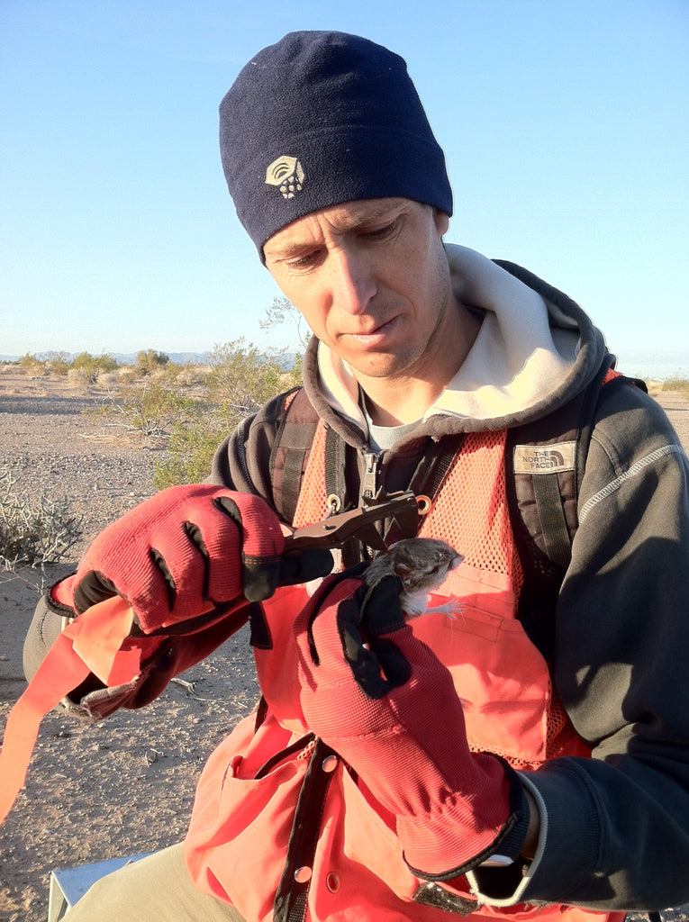 Dirty Collabs: Karl Jarvis, Conservation Biologist