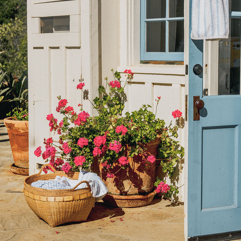 Late Spring Clean Your Ultimate Nontoxic Spring Cleaning Guide | Dirty Labs