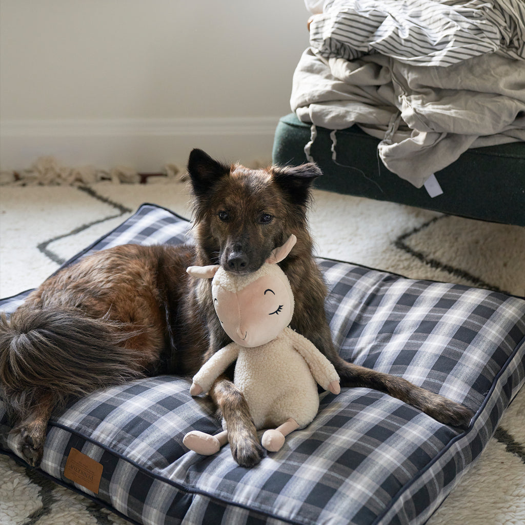 A brown dog lays on a blue and white plaid bed. The dog is holding a stuffed sheep toy in her mouth.