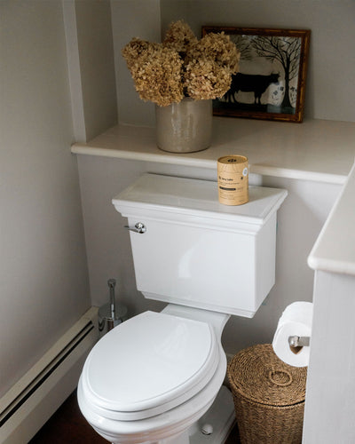 white toilet with picture frame on ledge and flowers